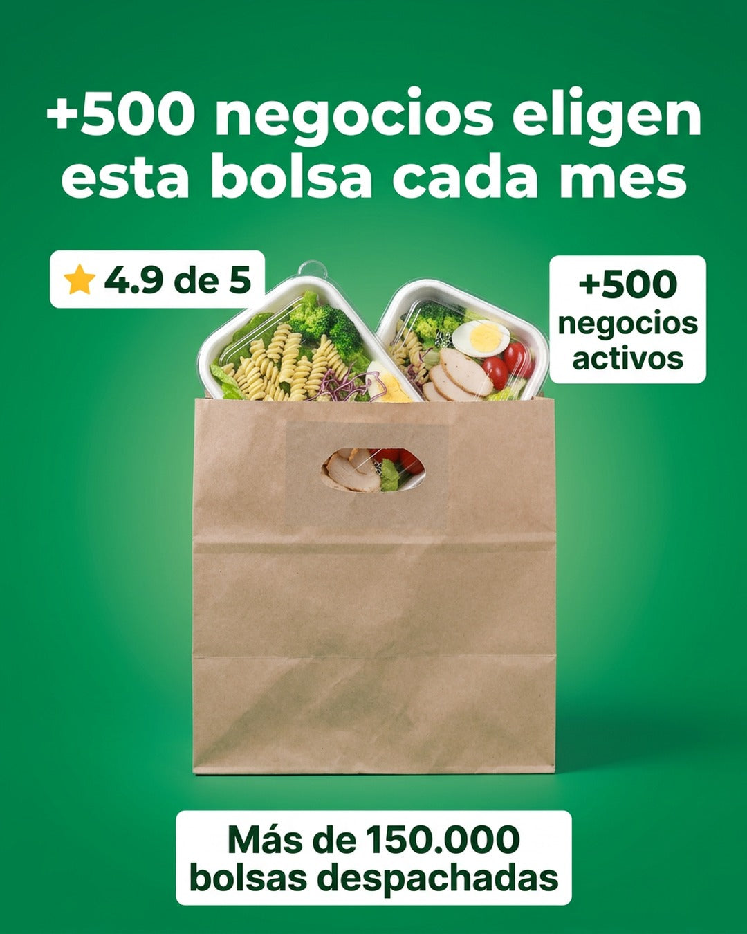 Bolsa Riñon Delivery 28x15x28 x300 und