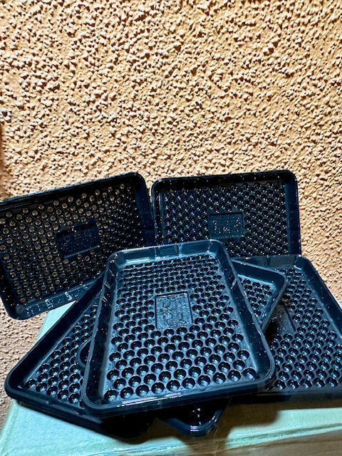 Bandeja Carne Fondo Alveolar 21x14,6 cm