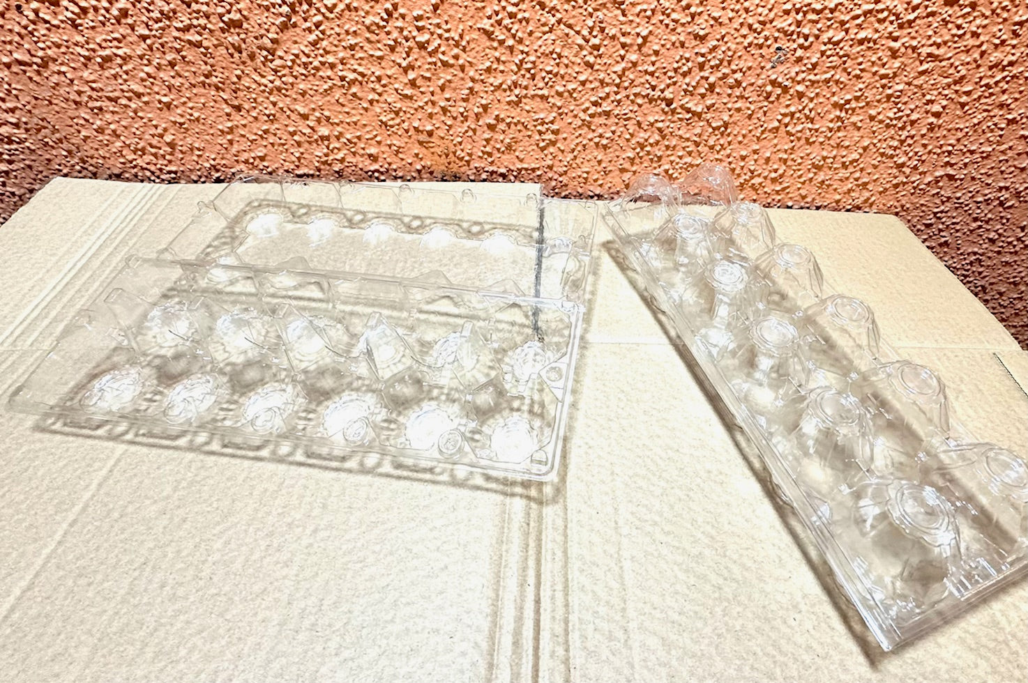 Estuche PET para 12 Huevos x320 und