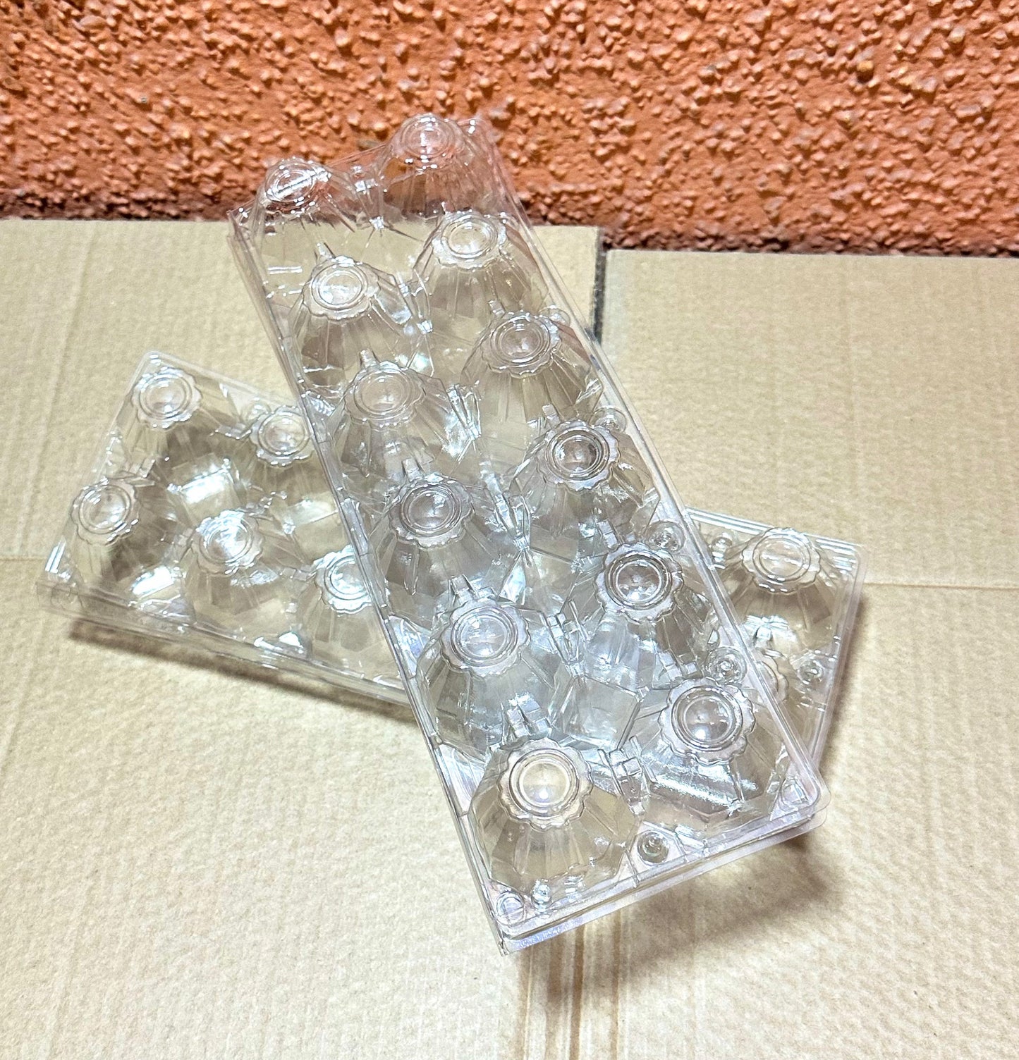 Estuche PET para 12 Huevos x320 und