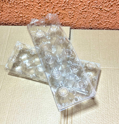 Estuche PET para 12 Huevos x320 und