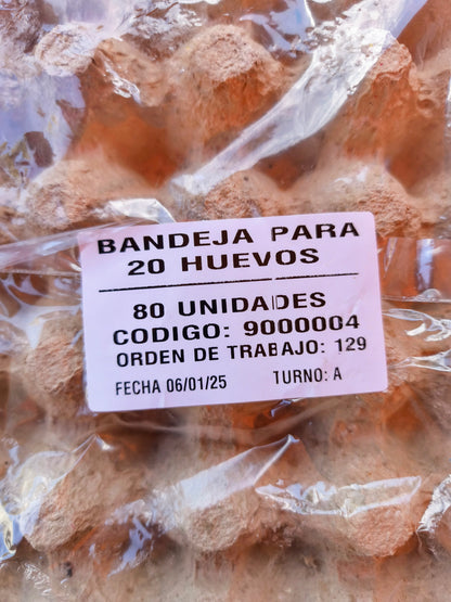 Bandeja para 20 Huevos x80 und