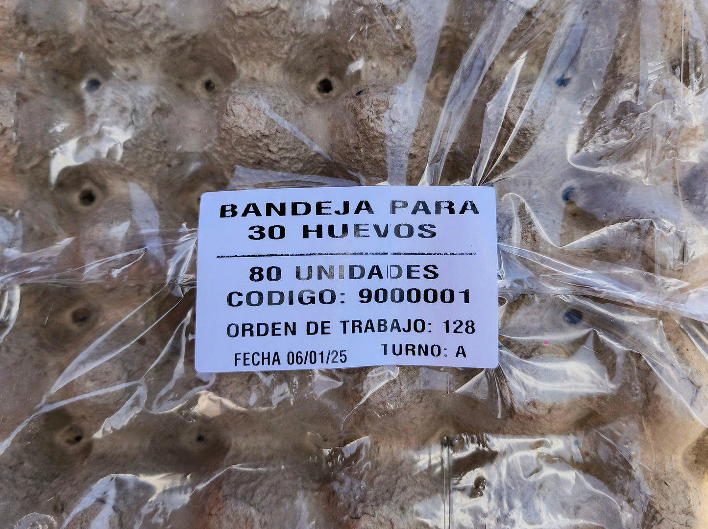 Bandeja para 30 Huevos x80 und