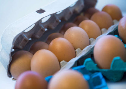 Estuche para 12 Huevos x190 und