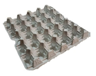 Bandeja para 20 Huevos x80 und