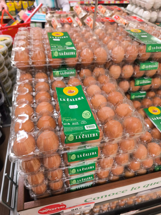 Bandeja PET Reutilizable para 30 Huevos x100 und