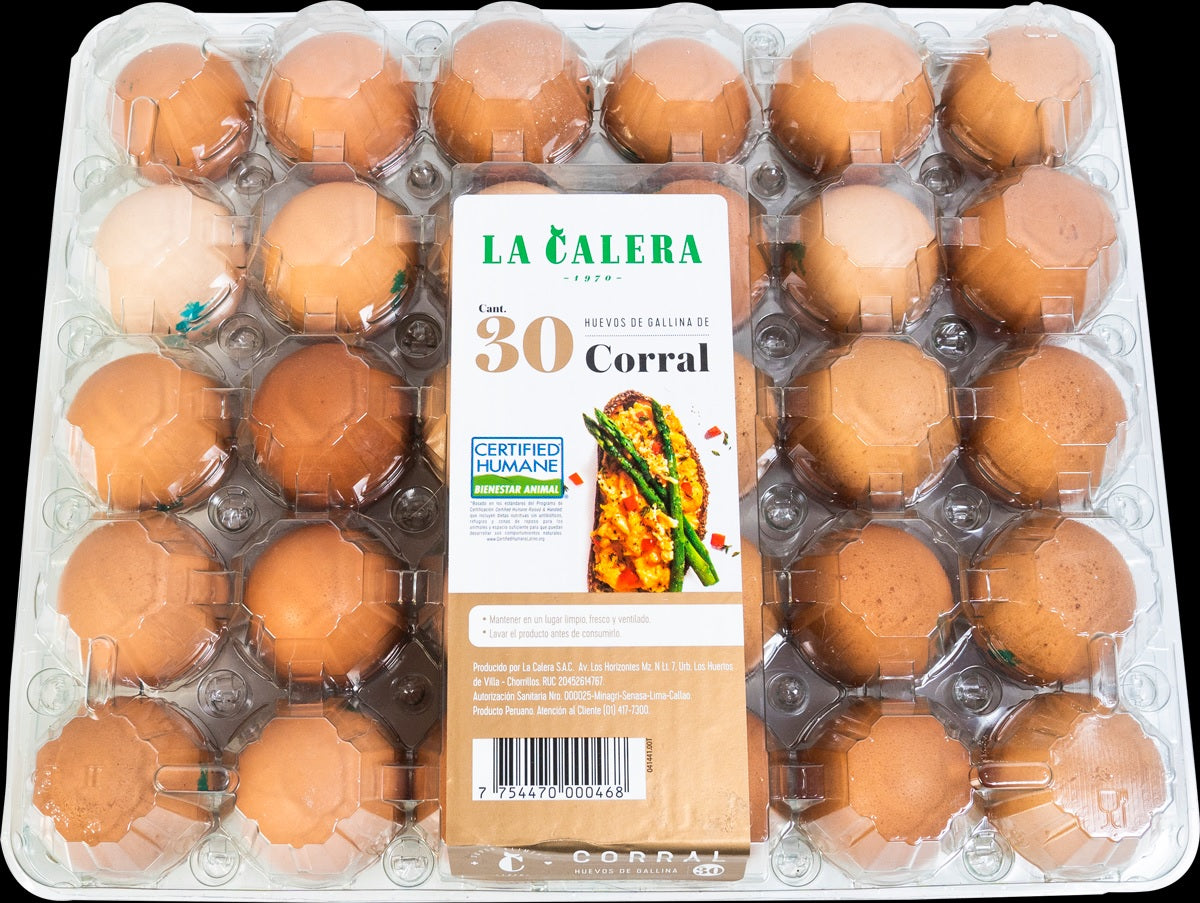 Bandeja PET 30 huevos: Base + tapa transparente x100 und