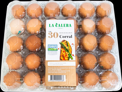 Bandeja PET 30 huevos: Base + tapa transparente x100 und