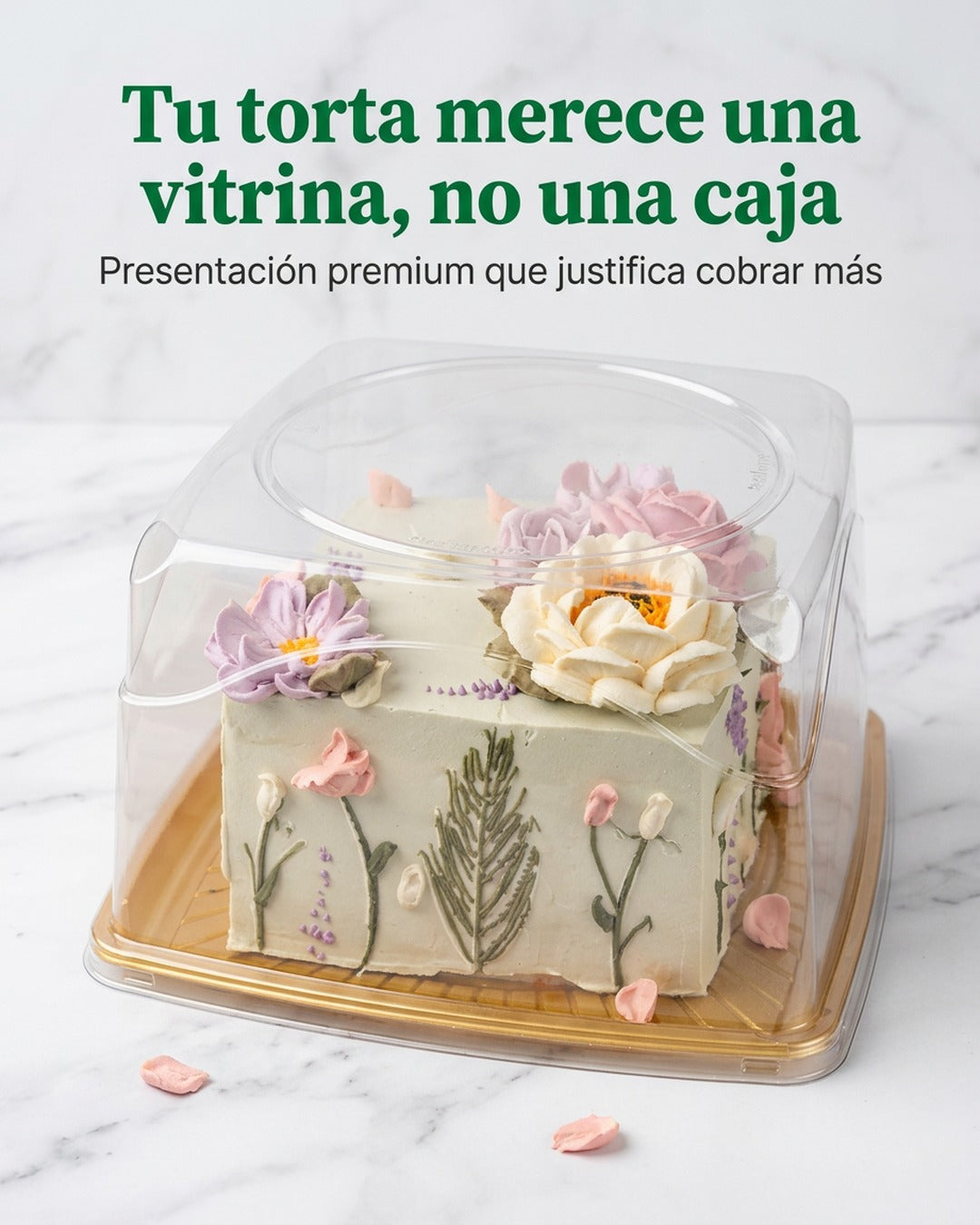 G32Q Torta Pequeña x50 und